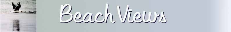 Beach Views banner